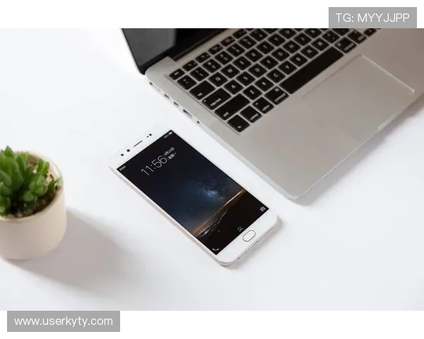 开云网页版的使用指南：如何轻松操作并充分利用其功能