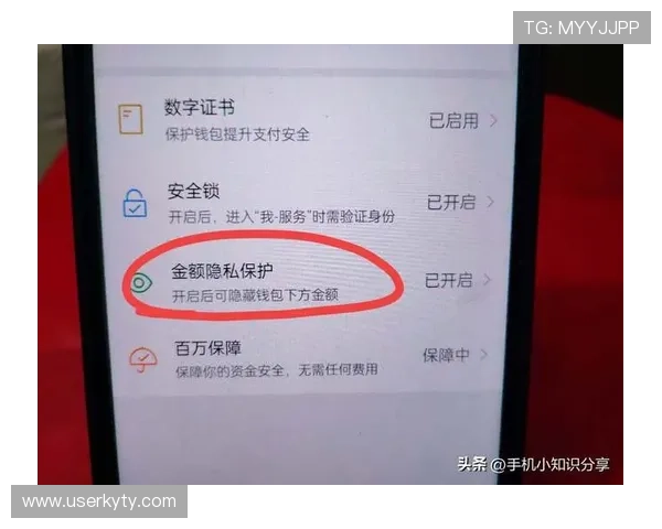 开云网页版入口安全登录技巧，保障您的账号信息安全的实用操作指南