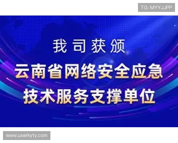 开云网站托管服务为网络游戏提供全天候技术支持与安全保障的优质选择