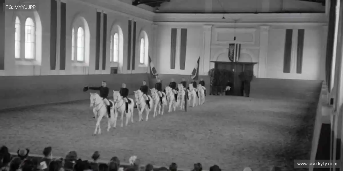 扑克真人视讯平台:德扑荷官百家乐直播,高清allin不错过